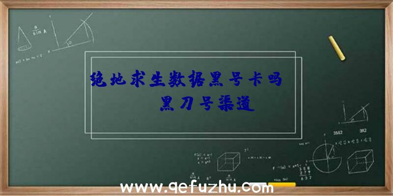 「绝地求生数据黑号卡吗」|pubg黑刀号渠道